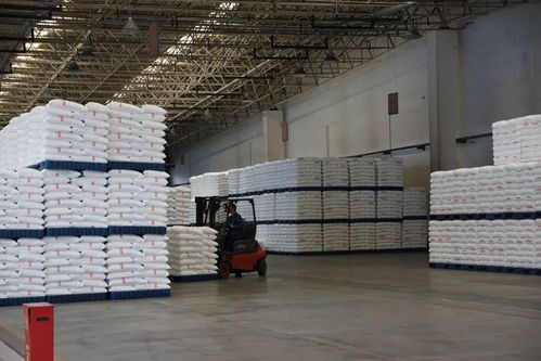 聚丙烯廠圓滿完成上半年生產(chǎn)經(jīng)營(yíng)任務(wù)